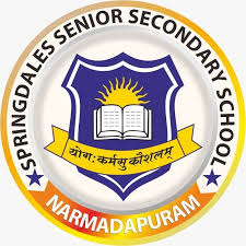 Springdales School Narmadapuram logo
